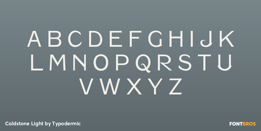 Caldstone Light Font Poster #1