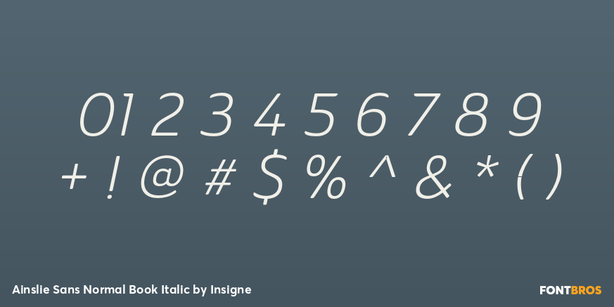 Ainslie Sans Normal Book Italic Font Poster #4