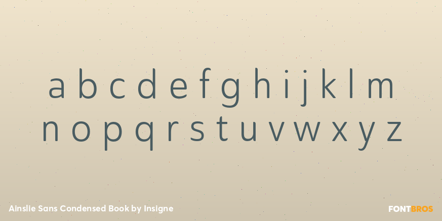 Ainslie Sans Condensed Book Font Poster #3