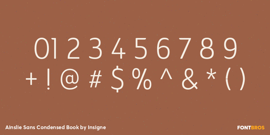 Ainslie Sans Condensed Book Font Poster #4