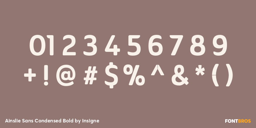 Ainslie Sans Condensed Bold Font Poster #4