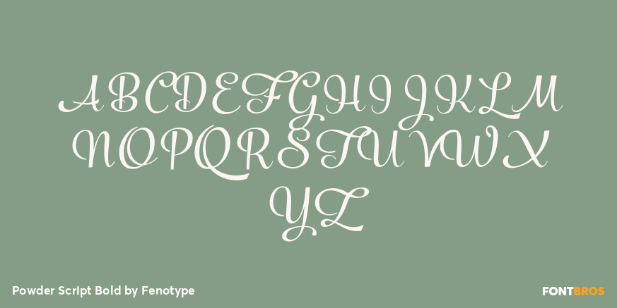 Powder Script Bold Font Poster #2