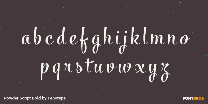 Powder Script Bold Font Poster #3