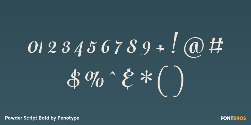 Powder Script Bold Font Poster #4