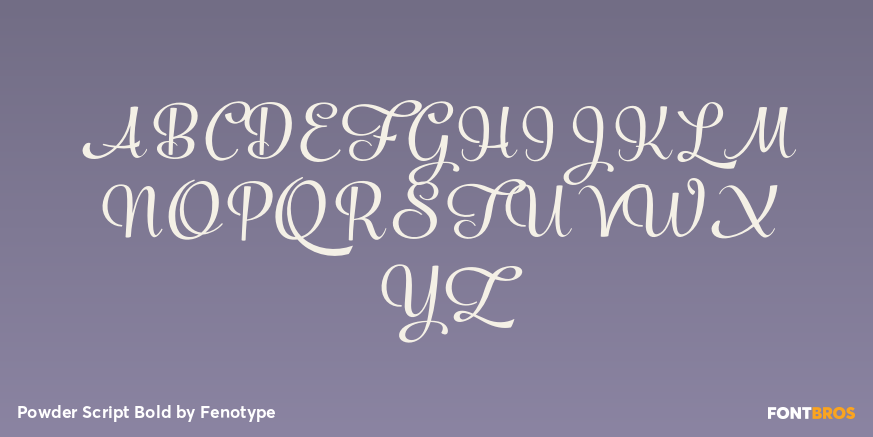 Powder Script Bold Font Poster #1