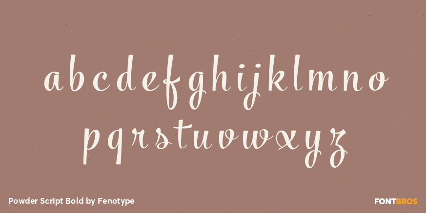 Powder Script Bold Font Poster #1