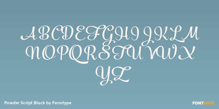 Powder Script Black Font Poster #1