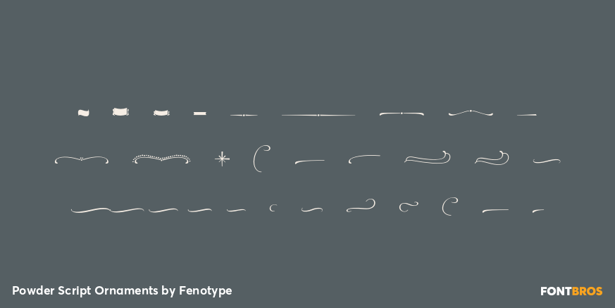 Powder Script Ornaments Font Poster #1