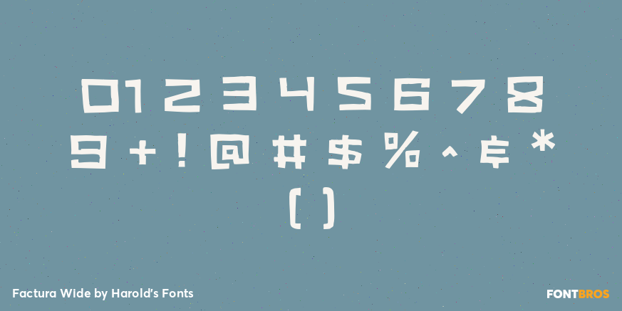 Factura Wide Font Poster #4