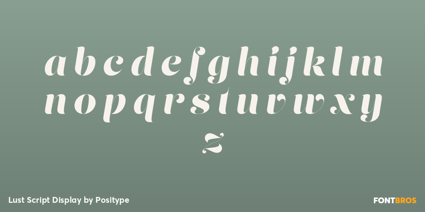 Lust Script Display Font Poster #3