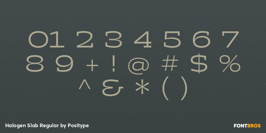 Halogen Slab Regular Font Poster #4