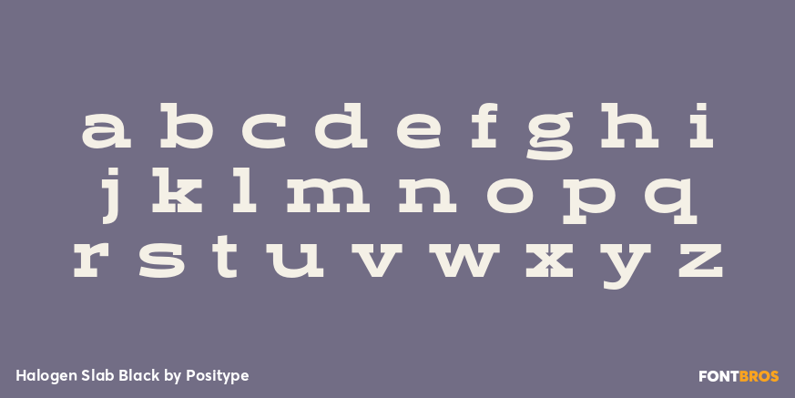 Halogen Slab Black Font Poster #3