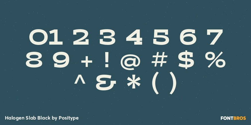Halogen Slab Black Font Poster #4
