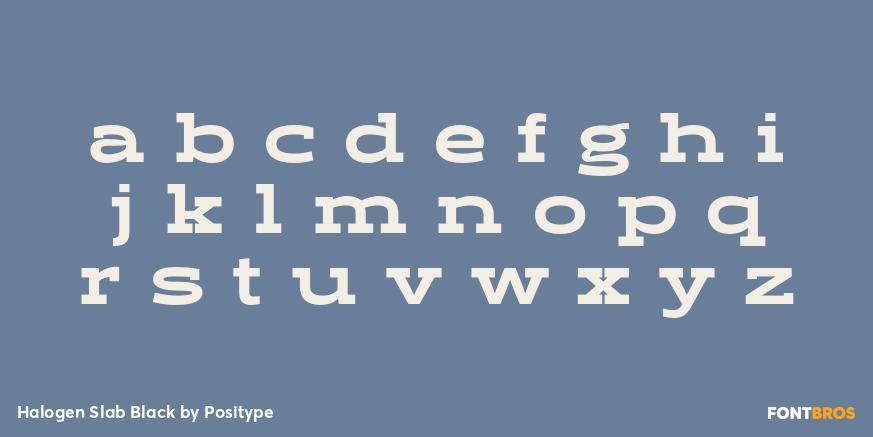Halogen Slab Black Font Poster #1
