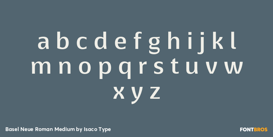 Basel Neue Roman Medium Font Poster #1