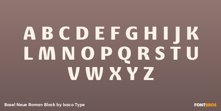 Basel Neue Roman Black Font Poster #2