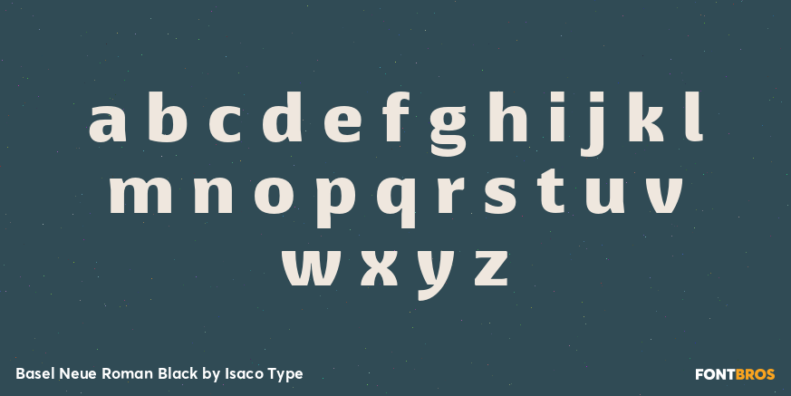 Basel Neue Roman Black Font Poster #3