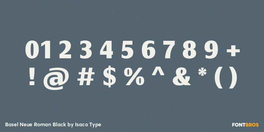 Basel Neue Roman Black Font Poster #4