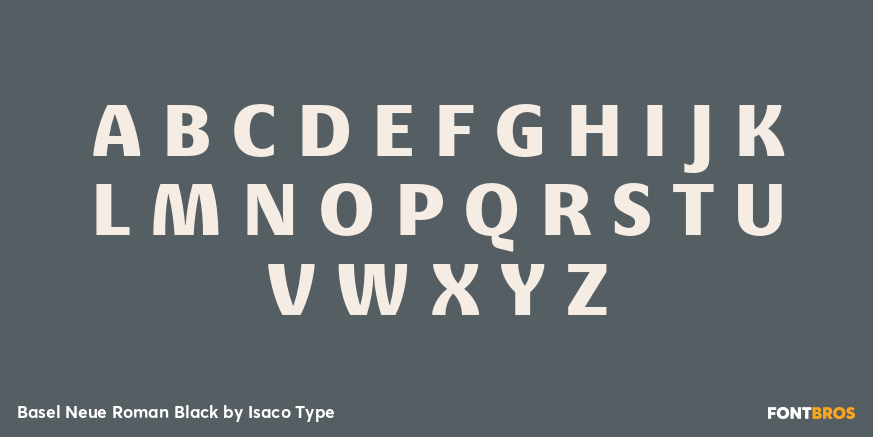 Basel Neue Roman Black Font Poster #1