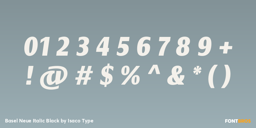 Basel Neue Italic Black Font Poster #4
