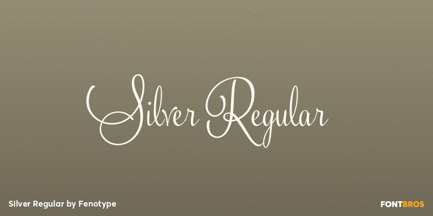Silver Regular Font Poster #1