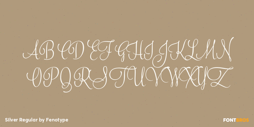 Silver Regular Font Poster #2