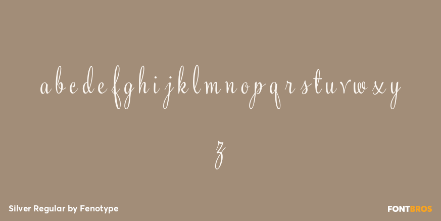 Silver Regular Font Poster #3