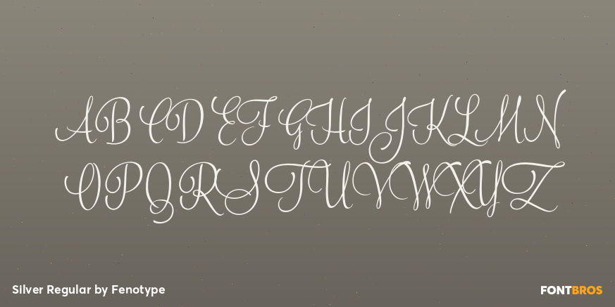 Silver Regular Font Poster #1