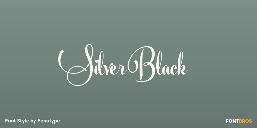 Silver Black Font Poster #1