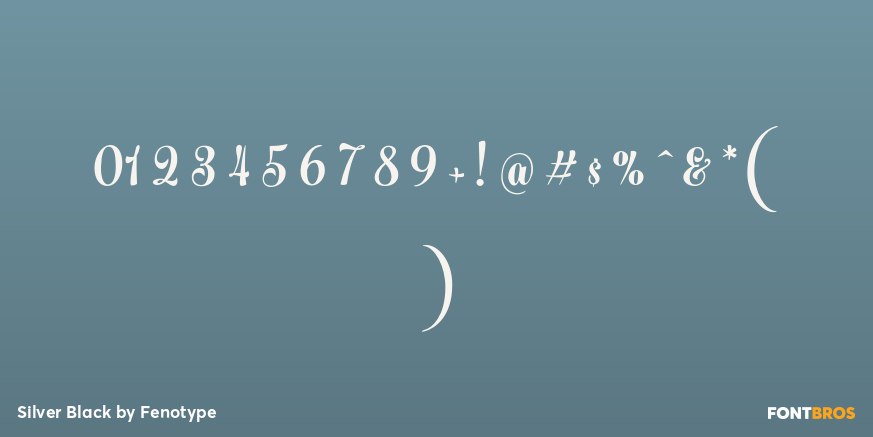 Silver Black Font Poster #1