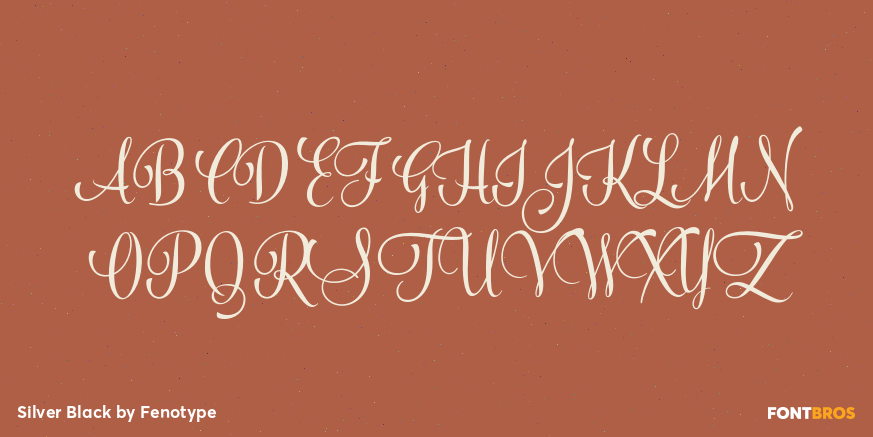 Silver Black Font Poster #2