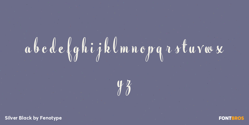 Silver Black Font Poster #3