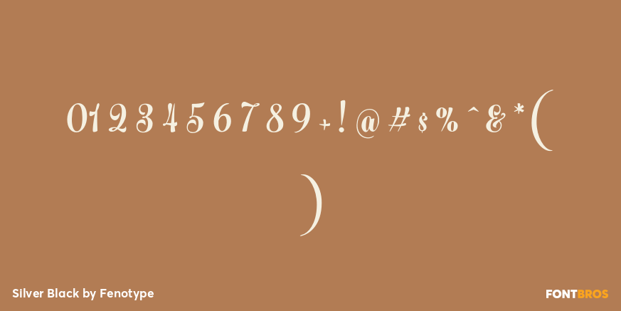 Silver Black Font Poster #4