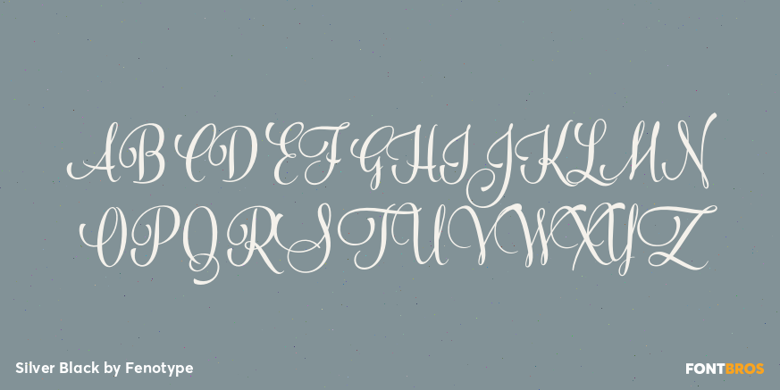 Silver Black Font Poster #1