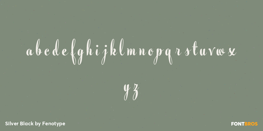 Silver Black Font Poster #1