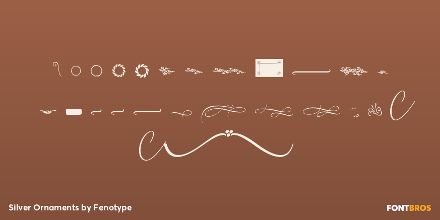 Silver Ornaments Font Poster #3