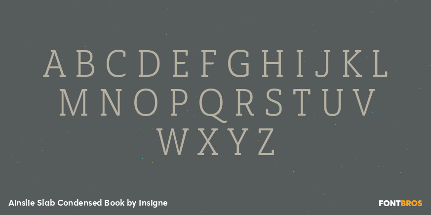 Ainslie Slab Condensed Book Font Poster #2
