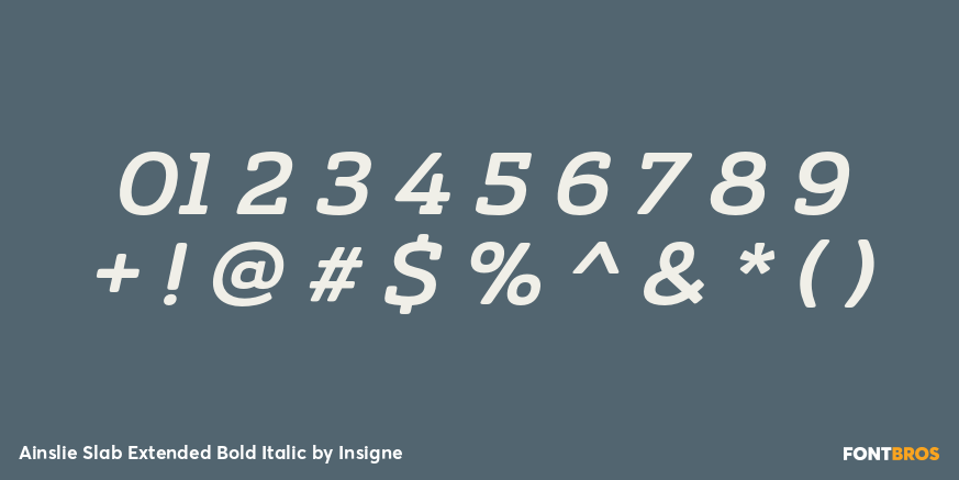 Ainslie Slab Extended Bold Italic Font Poster #1