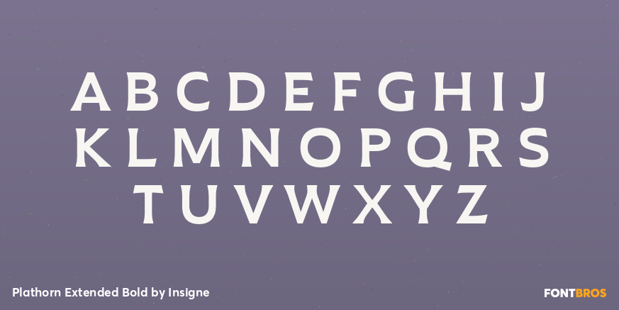 Plathorn Extended Bold Font Poster #2