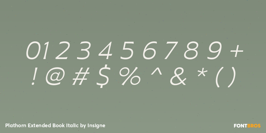 Plathorn Extended Book Italic Font Poster #4