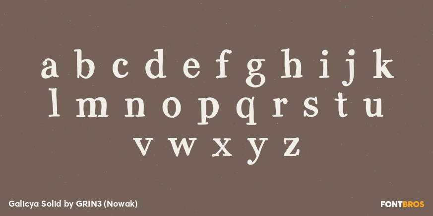 Galicya Solid Font Poster #3