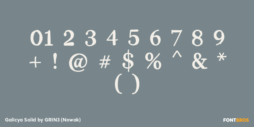 Galicya Solid Font Poster #4