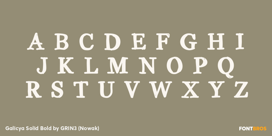 Galicya Solid Bold Font Poster #2