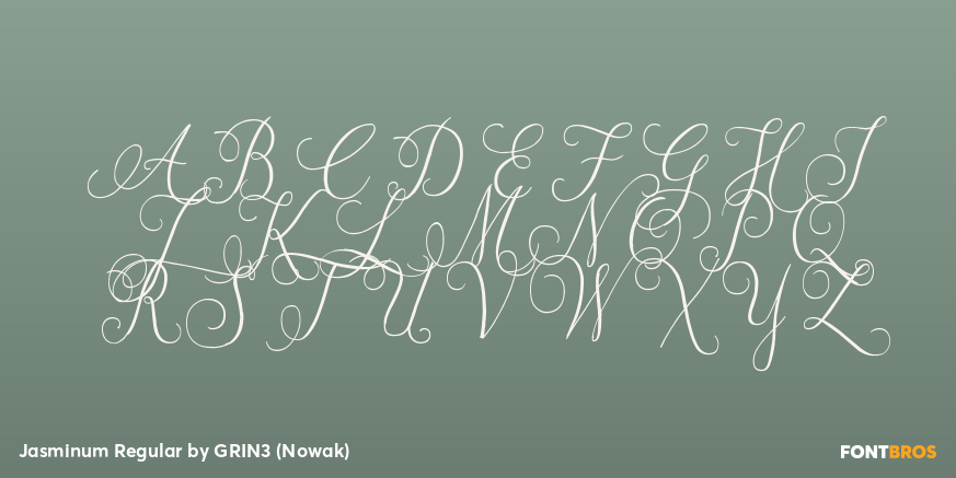 Jasminum Regular Font Poster #2