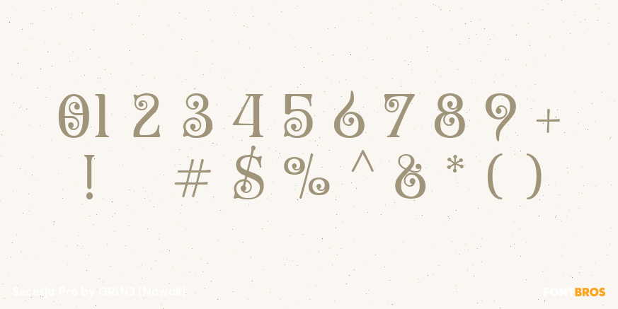 Secesja Pro Font Poster #1