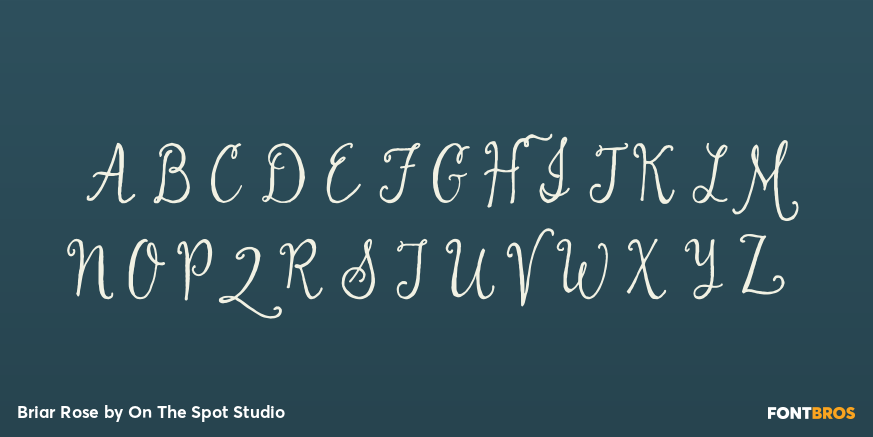 Briar Rose Font Poster #2