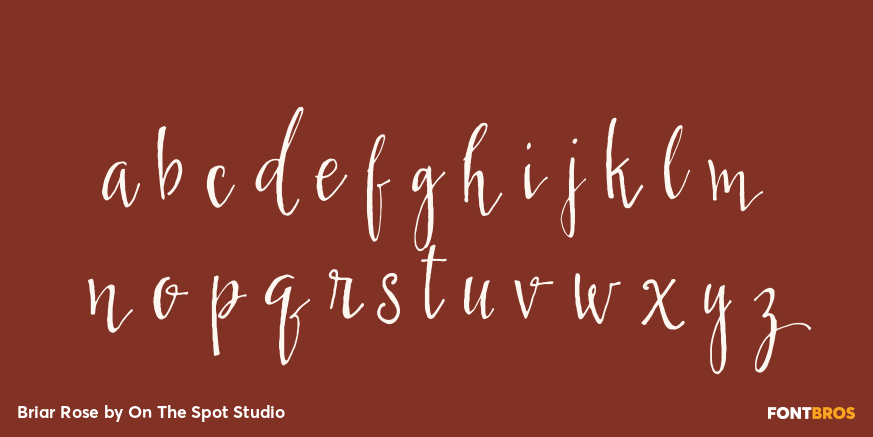Briar Rose Font Poster #3
