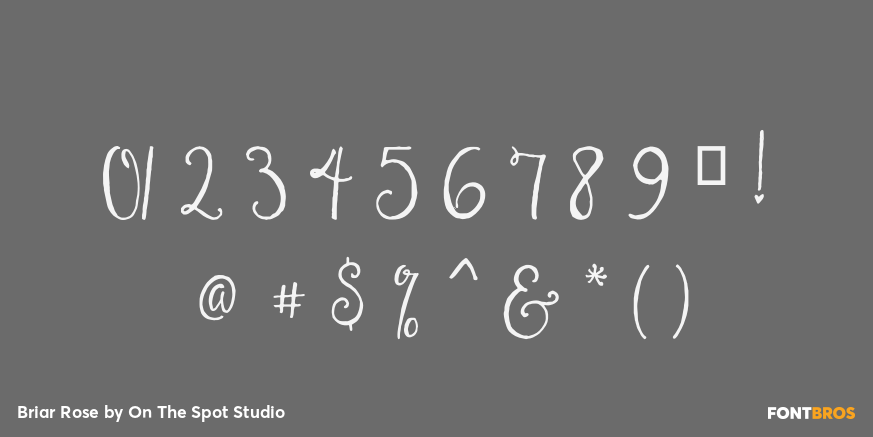 Briar Rose Font Poster #4