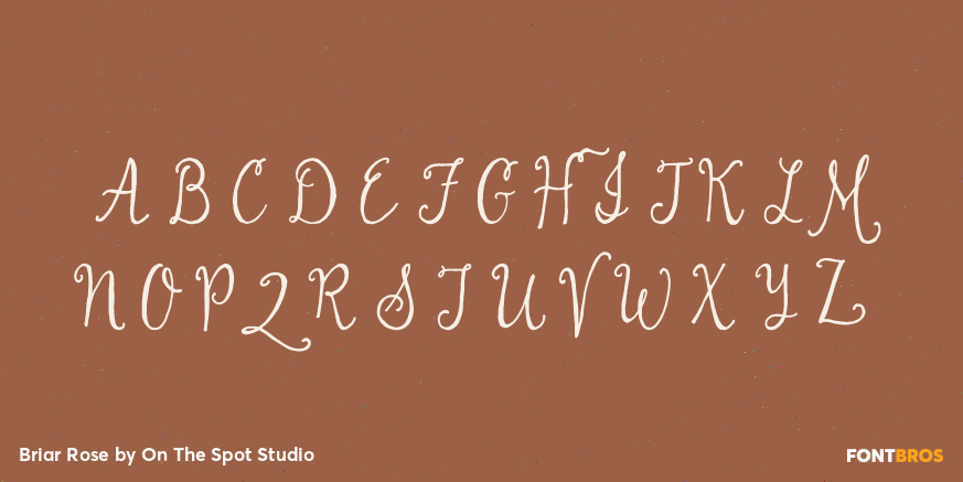 Briar Rose Font Poster #1