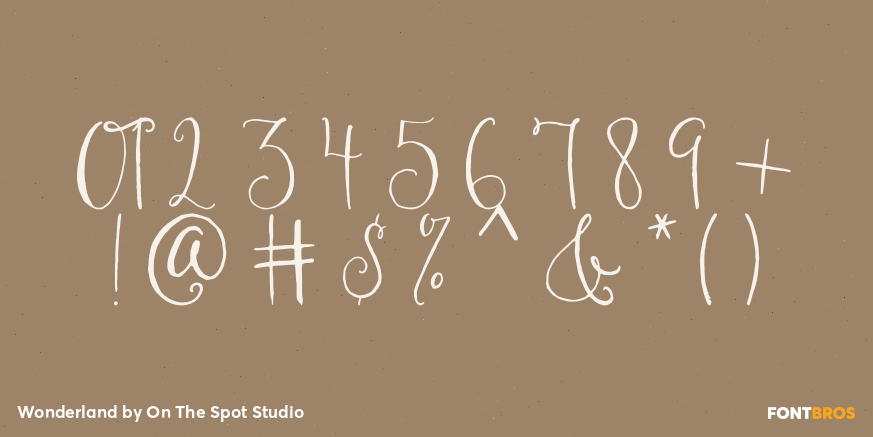 Wonderland Font Poster #4